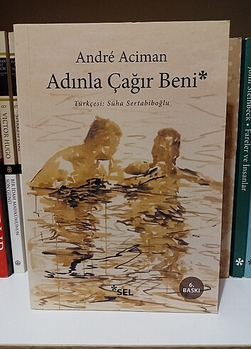 Adınla Çağır Beni Kitap 