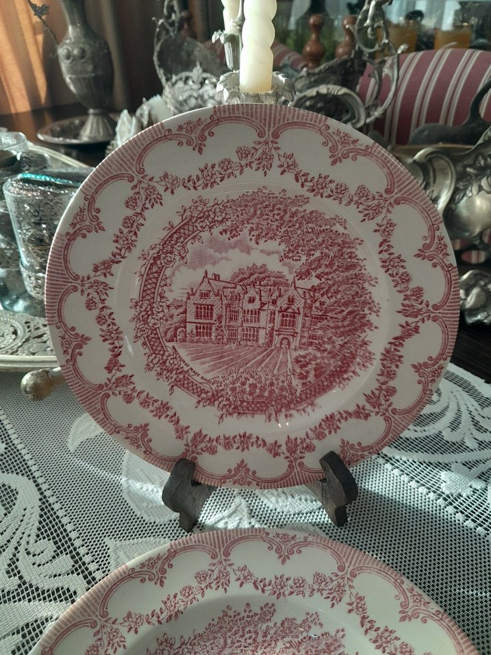 İngiliz  Pasta Tabağı Seti - Görsel 2