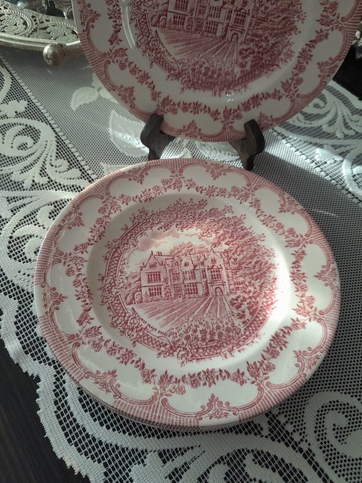 İngiliz  Pasta Tabağı Seti - Görsel 4