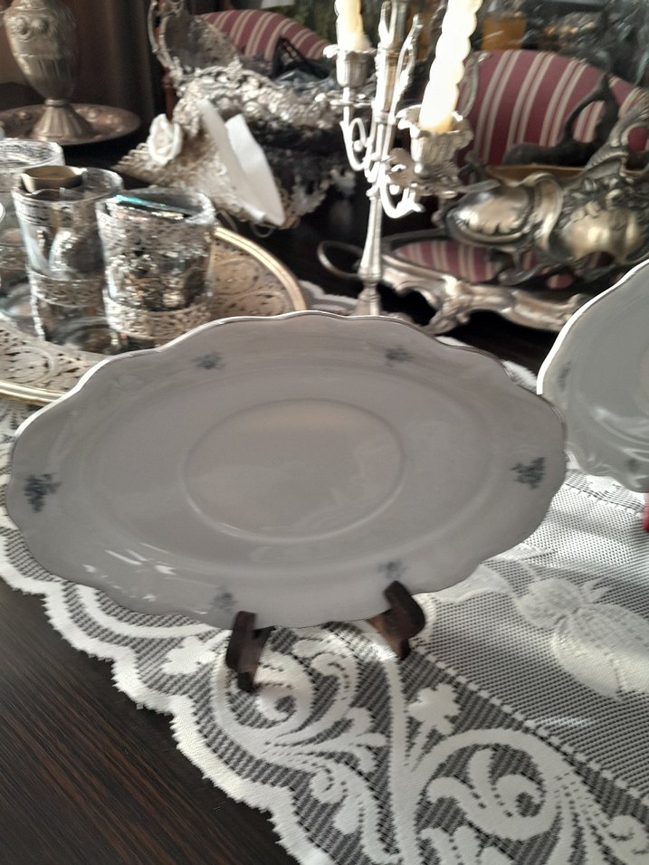 Alman Porselen Servis Tabakları - Görsel 4