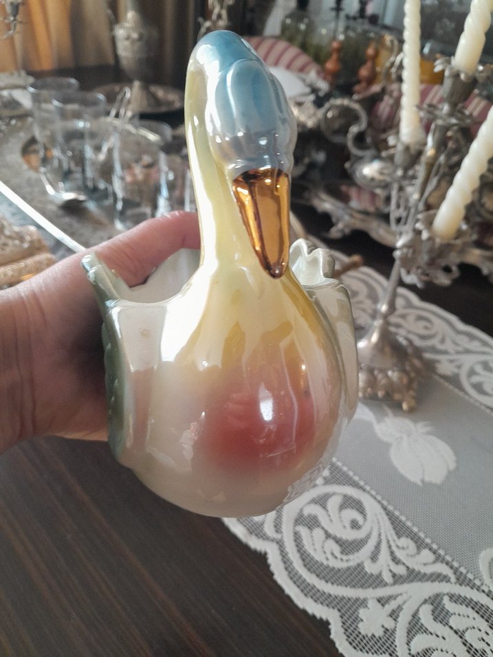 Antika kuğu - Görsel 4