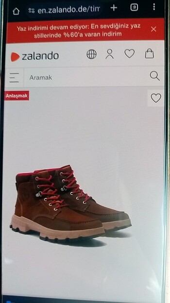 40 Beden Erkek bot