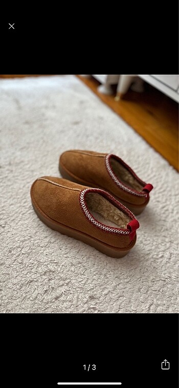 Stradivarius mont