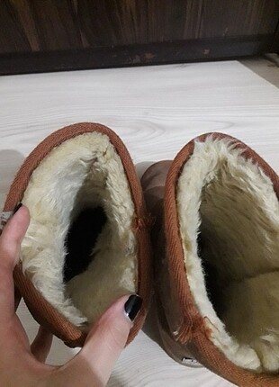 kar botu