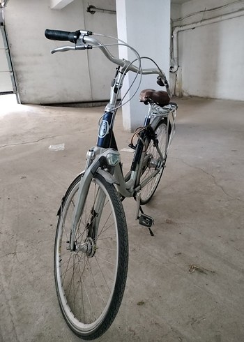 gazelle