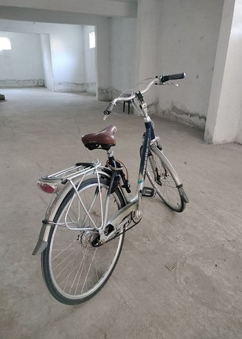 Beden gazelle