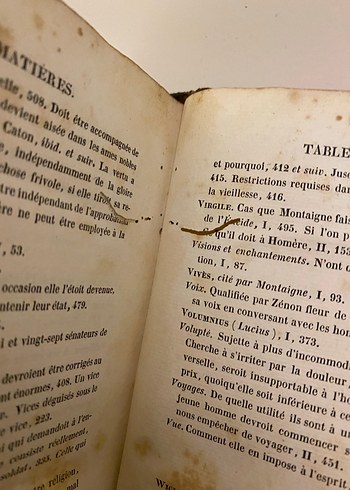 Essais De Montaigne(Montaigne Denemeler) - Görsel 8