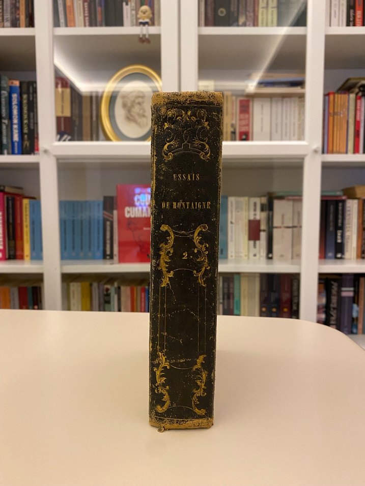 Essais De Montaigne(Montaigne Denemeler) - Görsel 2