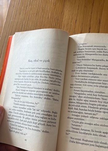 Şeker Portakalı- Jose Mauro De Vasconcelos - Görsel 3