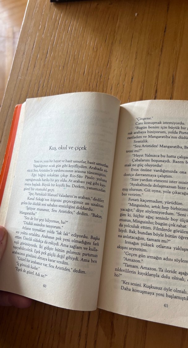 Şeker Portakalı- Jose Mauro De Vasconcelos - Görsel 3