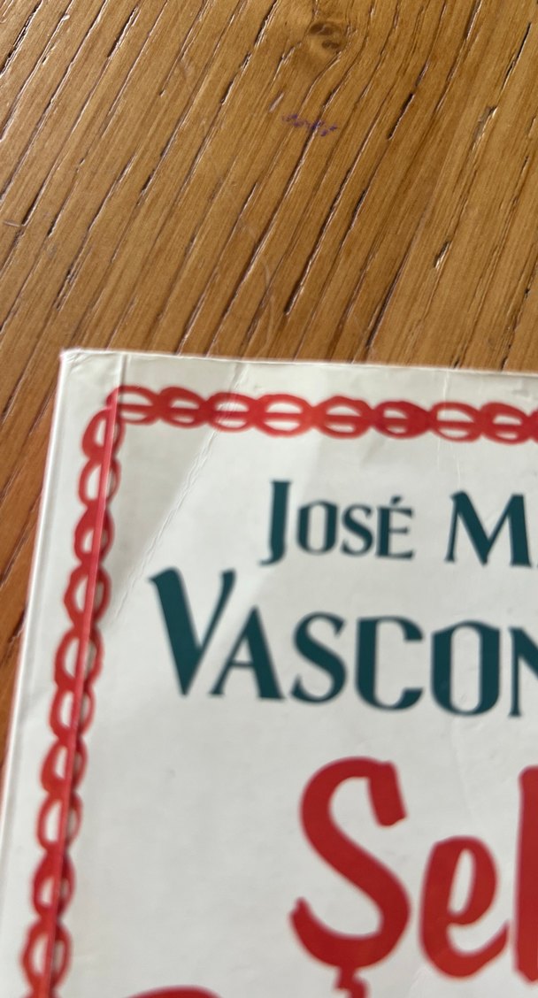 Şeker Portakalı- Jose Mauro De Vasconcelos - Görsel 5