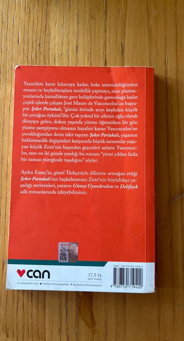 Şeker Portakalı- Jose Mauro De Vasconcelos - Görsel 2