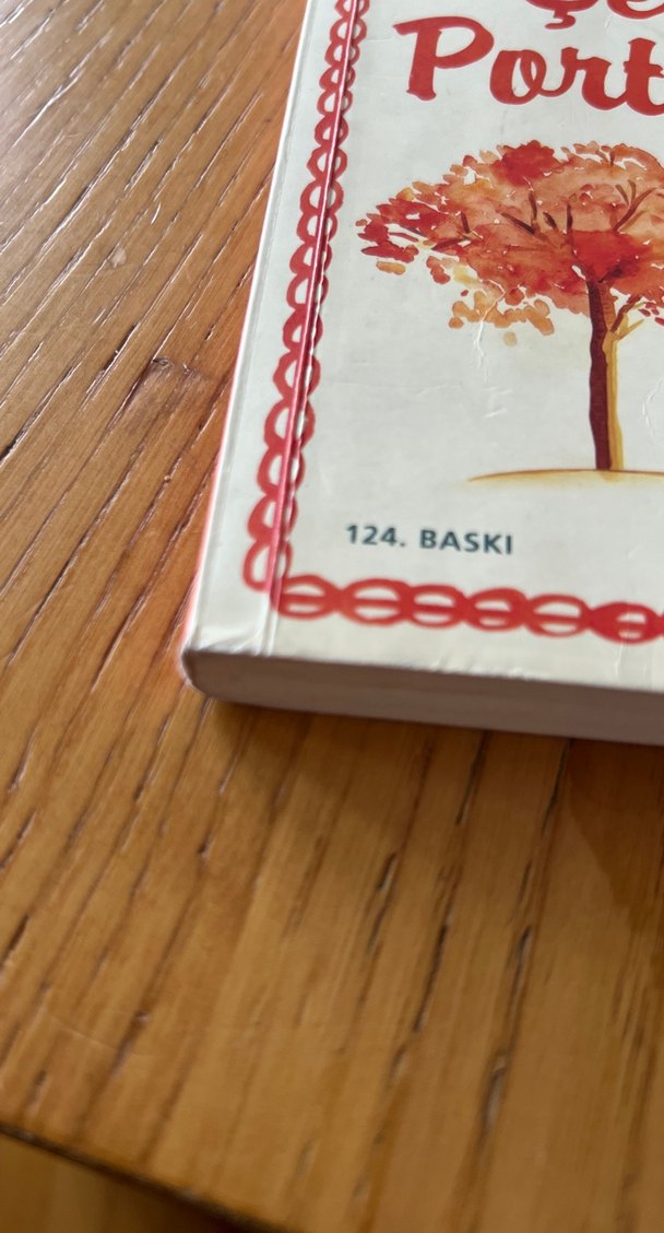 Şeker Portakalı- Jose Mauro De Vasconcelos - Görsel 4