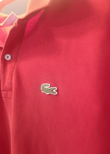 Lacoste t-shirt. - Görsel 2