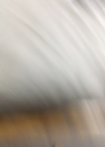 Dambıl 1 kg - Görsel 3