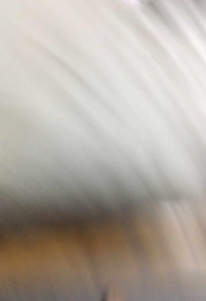 Dambıl 1 kg - Görsel 3