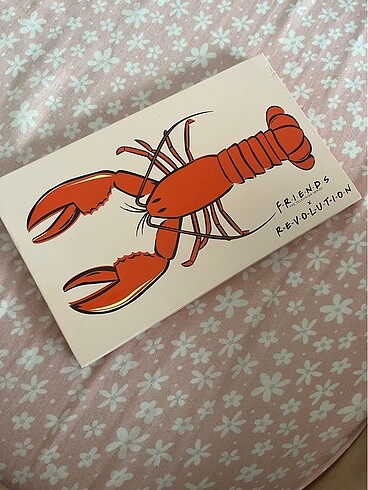 Revolution x Friends He?s her lobster far paleti