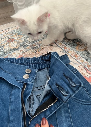 Kadın Mavi Bol Kesim Kemerli Denim Pantolon - Görsel 2