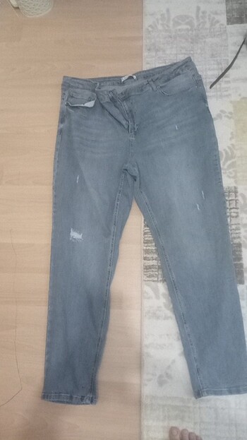 Kot Jean 