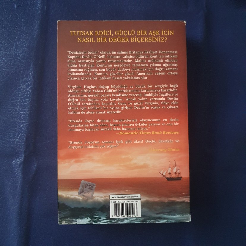 Brenda Joyce - Bir Avuç Aşk Romanı - Görsel 2