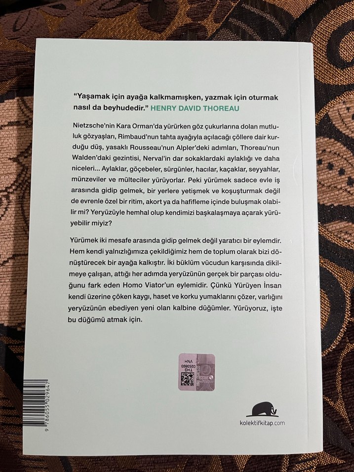 Yürümenin Felsefesi - Frédéric Gros - Görsel 2