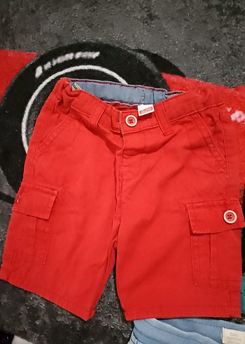 Renkli Pamuklu Erkek Çocuk Şortları 6/9 9/12 ay aralığı bedenler - Görsel 9