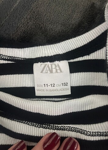 Zara bady