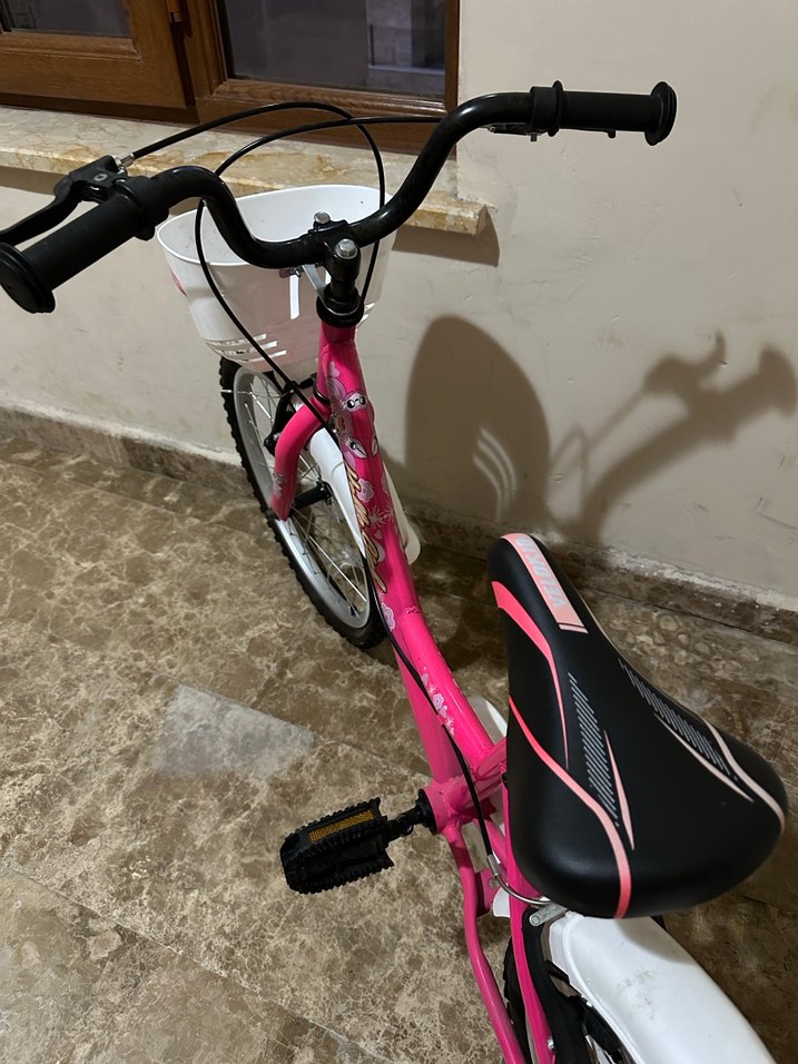 Pembe Üç Tekerlekli Bisiklet - Görsel 2