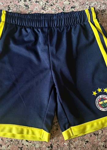 Fenerium 18-24 Ay