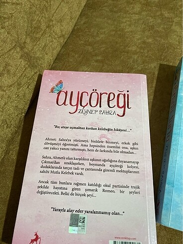  Ayçöreği serisi