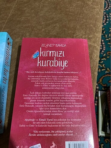 Beden Renk Ayçöreği serisi