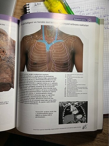  İnsan anatomisi atlası