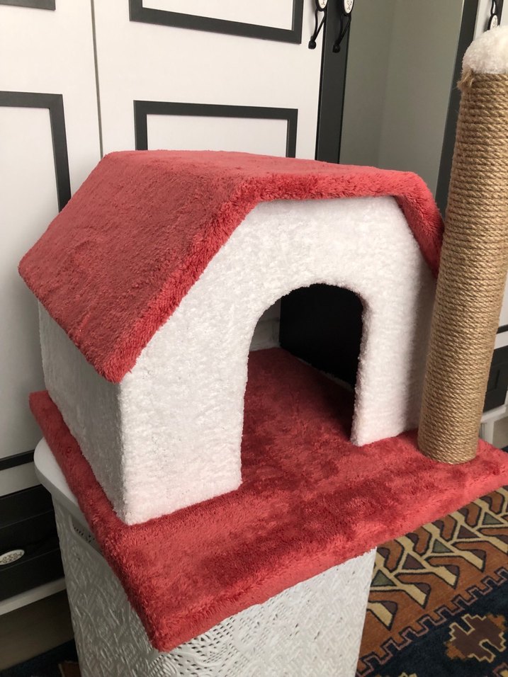 Renkli Kedi Evi ve Oyuncağı - Görsel 3