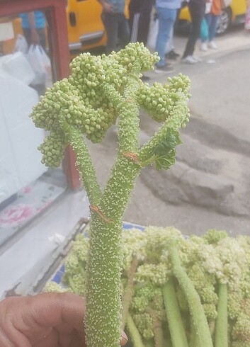 Diğer 2 kg ışkın tuncelinin ışkını