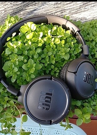 orjinal jbl tune 500 bt