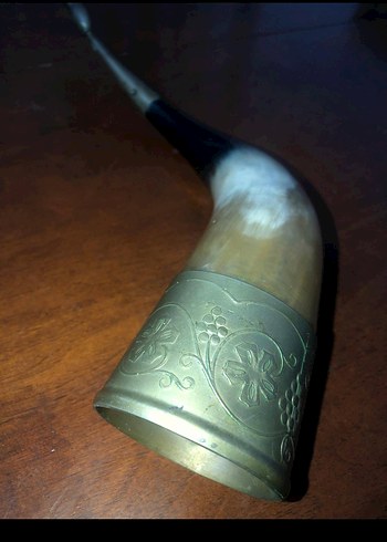 Gri ve Camel Renkli Boynuz boynuz - Görsel 3