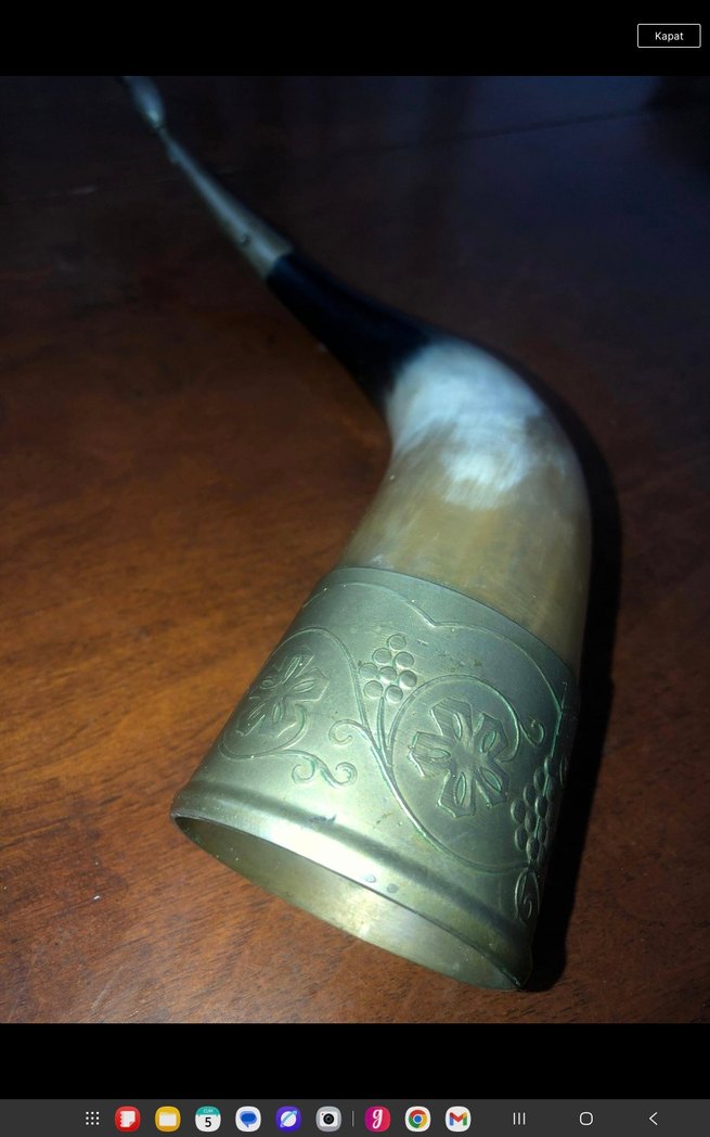 Gri ve Camel Renkli Boynuz boynuz - Görsel 3