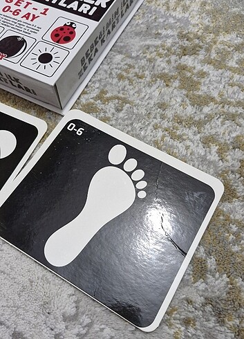  Beden Bebek Zeka Kartları Set 1 0-6 ay