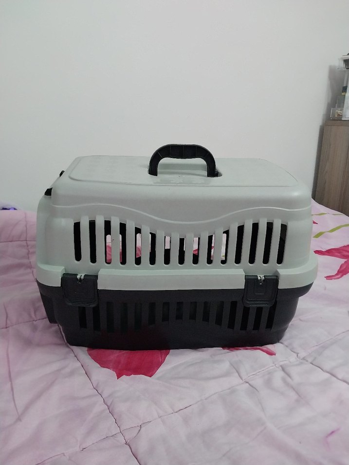 Gri Taşıma Kabı veya Kum Kabı - Görsel 2