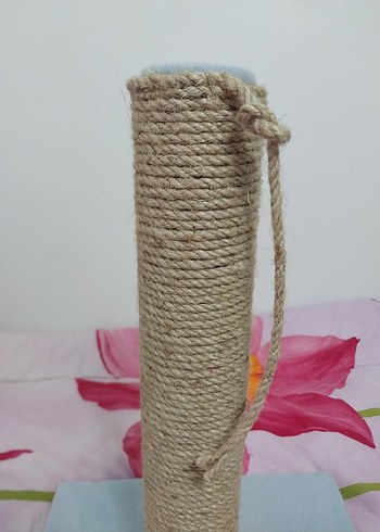 Bej Kedi Tırmalama Tahtası Pastel - Görsel 3