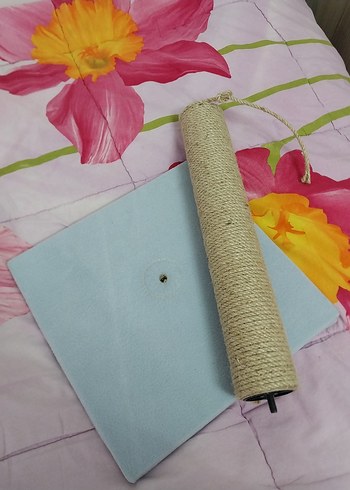 Bej Kedi Tırmalama Tahtası Pastel - Görsel 4