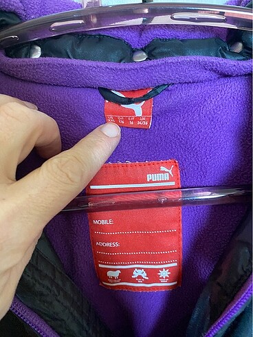 Puma Puma mont