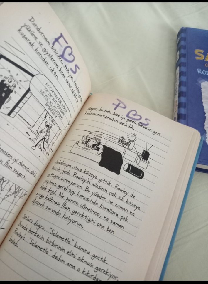 Saftirik Greg'in Günlüğü - Panik Yok! - Görsel 3