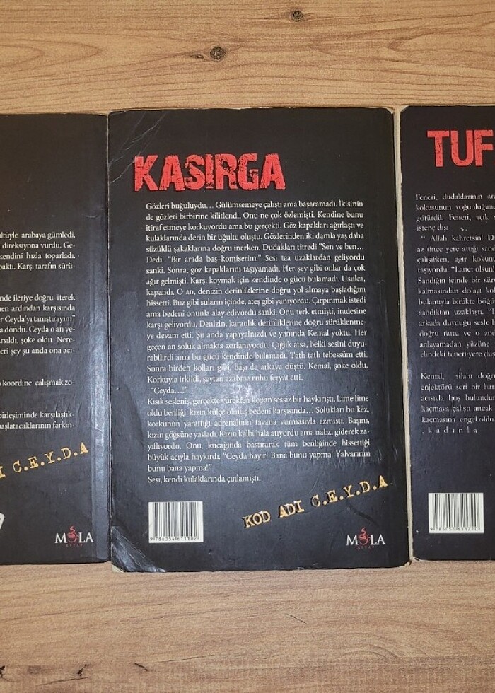 KOD ADI CEYDA SERİSİ - Görsel 2