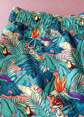 l Beden çeşitli Renk Bikini alti ve şort