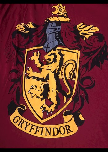 Gryffindor tşört - Görsel 2