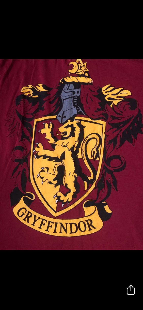 Gryffindor tşört - Görsel 2