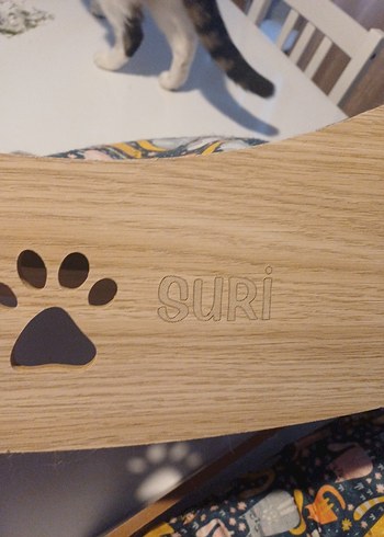 kedi yatagi - Görsel 4