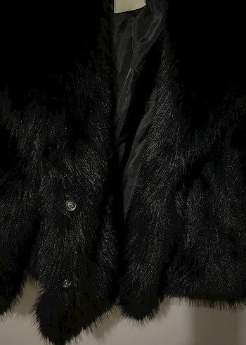 Siyah kürk - Görsel 6