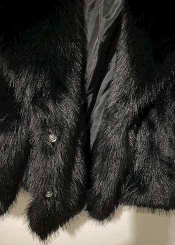 Siyah kürk - Görsel 5